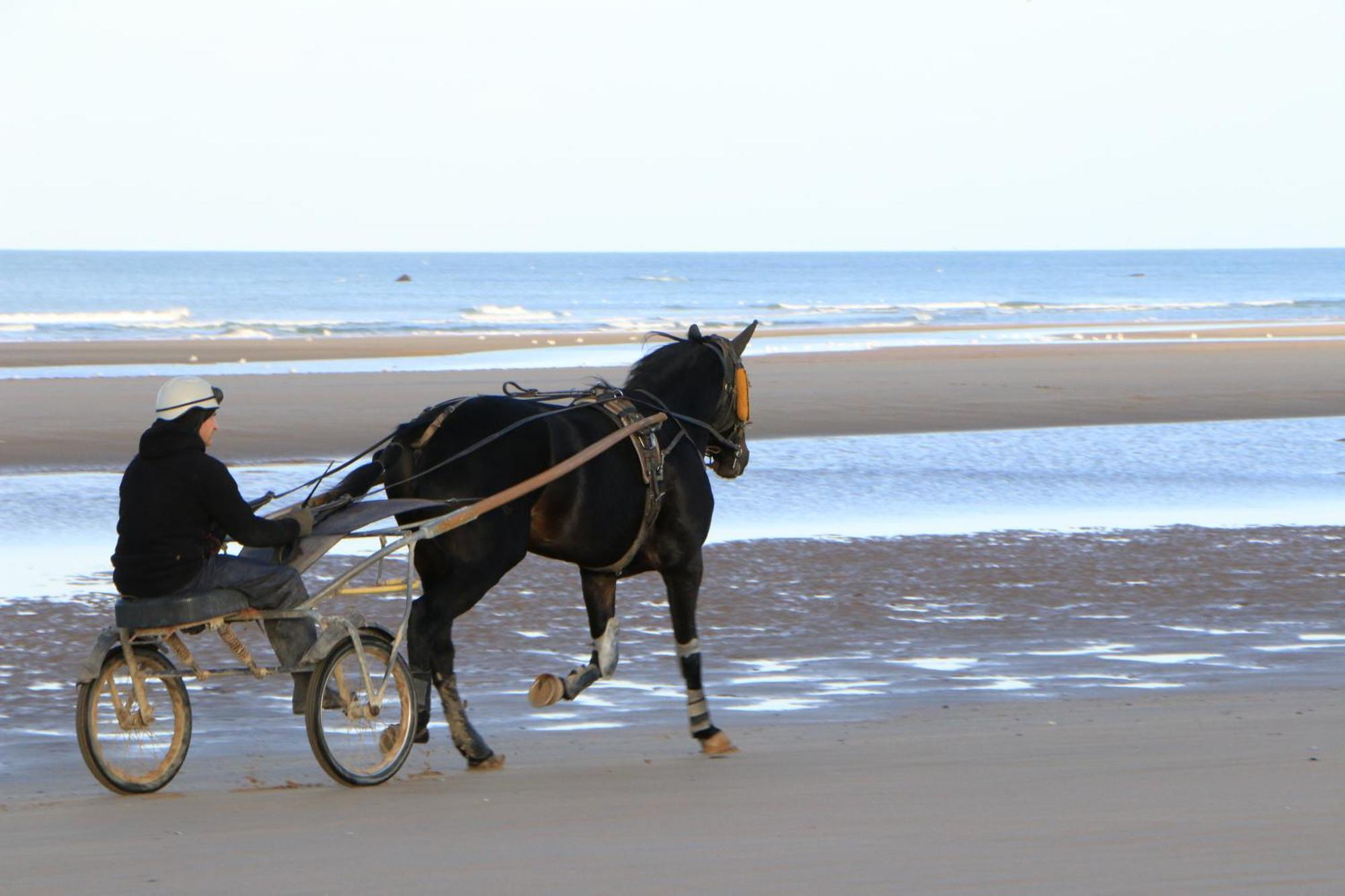 Les Bains De Mer Grandcamp-Maisy Luaran gambar